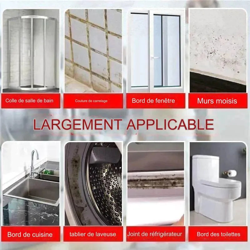 Gel Éliminateur de Moisissure JAYSUING