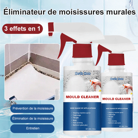 Mousse nettoyante anti-moisissure
