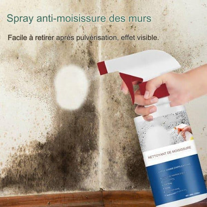 Mousse nettoyante anti-moisissure