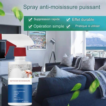 Mousse nettoyante anti-moisissure